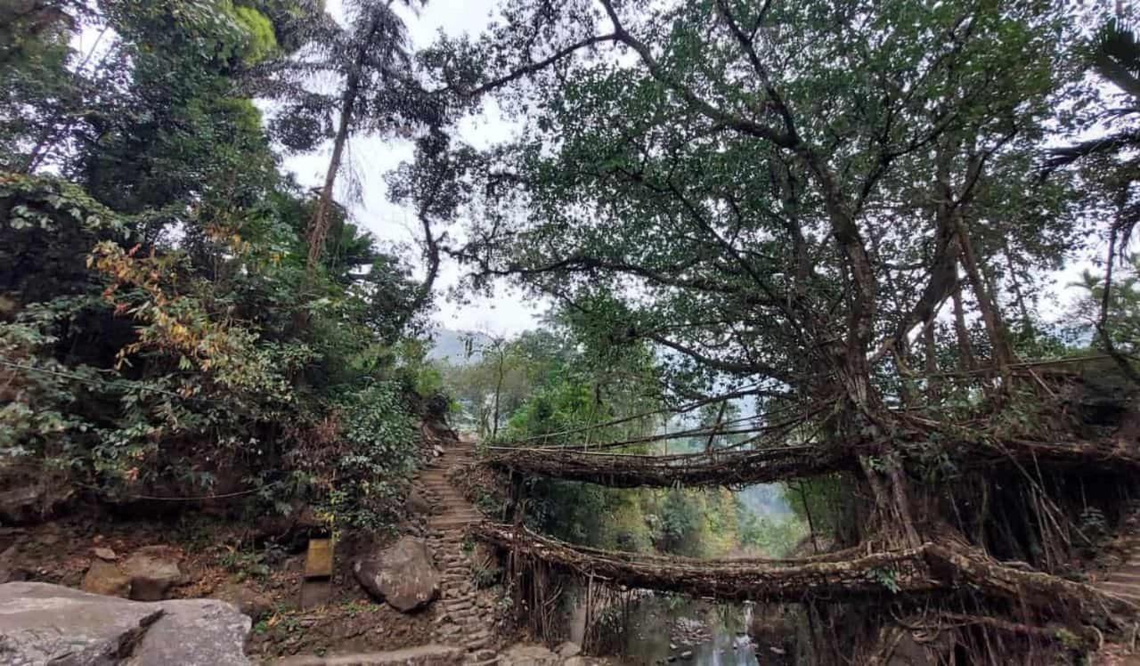 Odyssey Stays Nongriat - 3Kms Trek From Main Road Cherrapunji Exterior foto