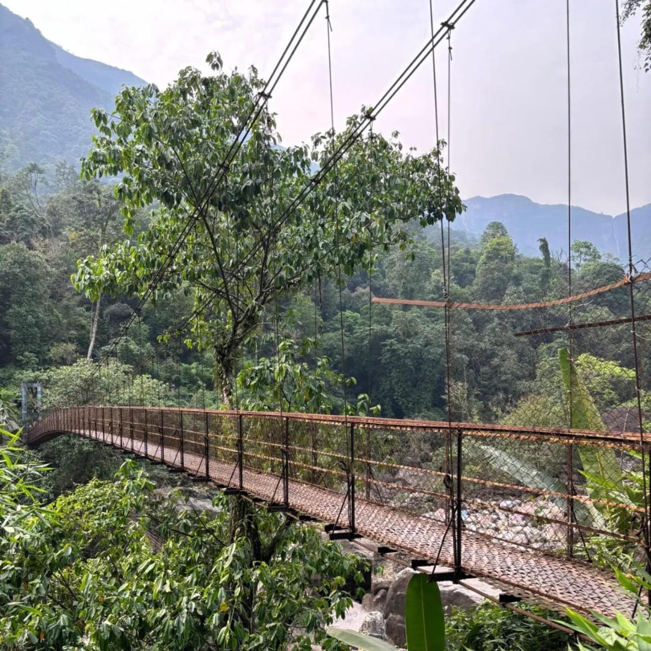 Odyssey Stays Nongriat - 3Kms Trek From Main Road Cherrapunji Exterior foto