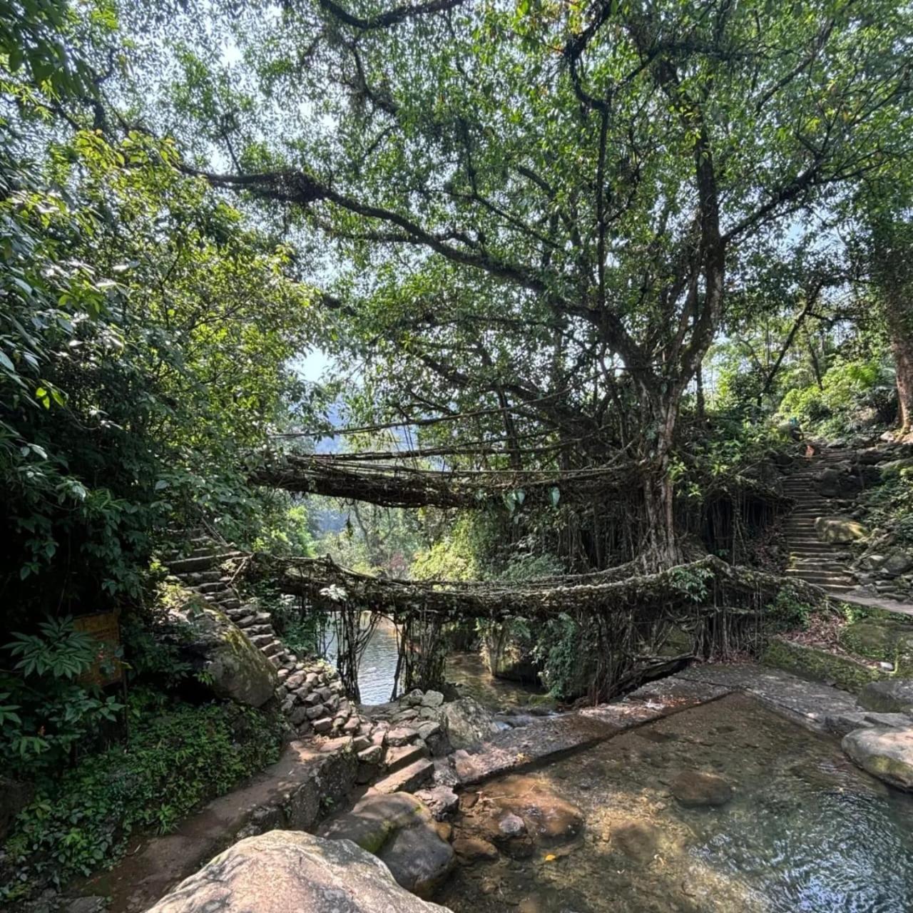 Odyssey Stays Nongriat - 3Kms Trek From Main Road Cherrapunji Exterior foto